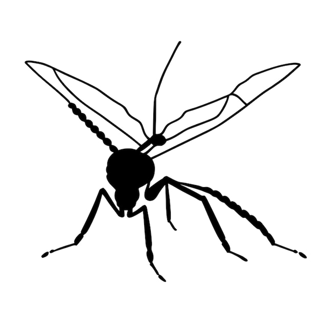 Ilustración del vector del mosquito