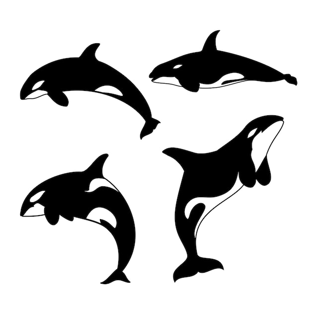 Vector ilustración de vector de orca silueta de orca