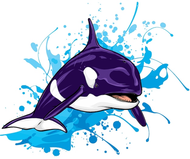 Ilustración de vector de orca u orca