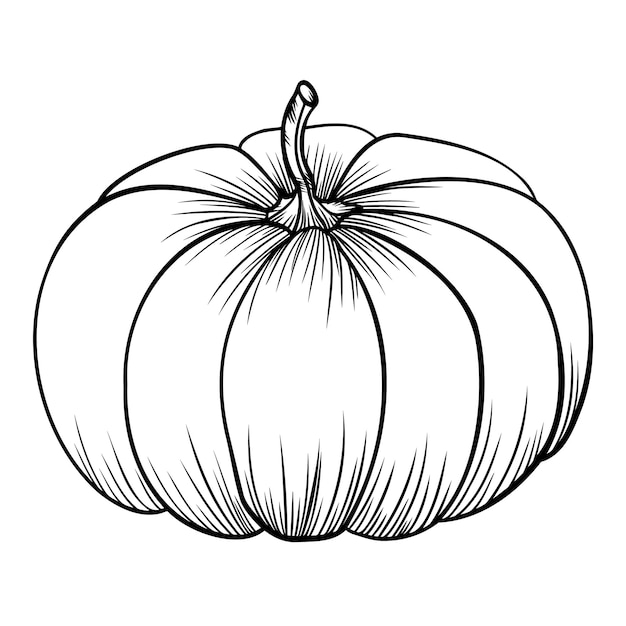 Ilustración de vector de otoño de calabaza lineal