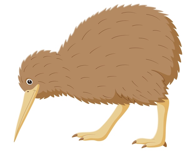 Ilustración de Vector de pájaro kiwi divertido de dibujos animados