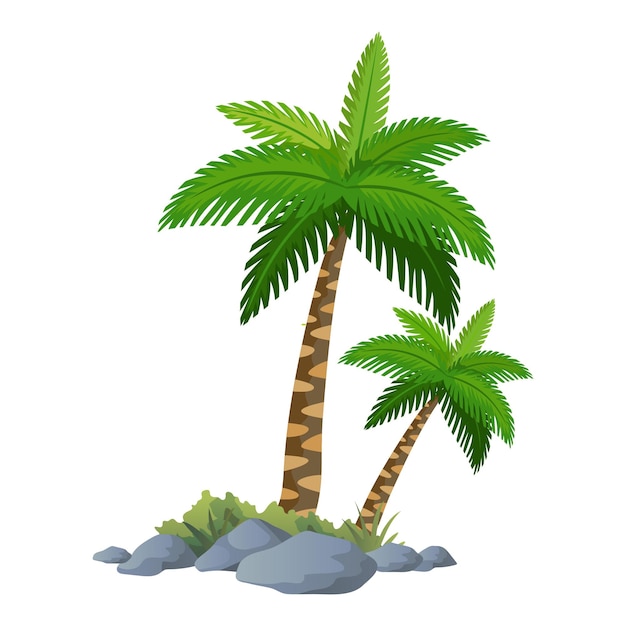 Ilustración del vector de la palmera con fondo blanco