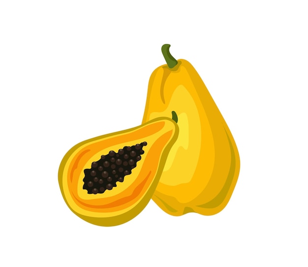 Ilustración de vector de papaya aislado sobre fondo blanco