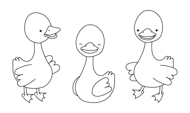 Ilustración de vector de patos