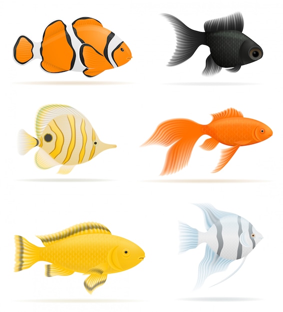 Vector ilustración de vector de peces de acuario