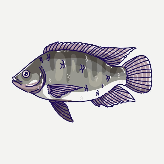 Ilustración de vector de peces de agua dulce de tilapia