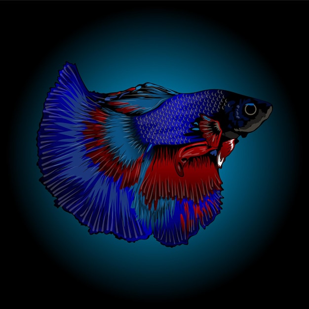 Ilustración de vector de pez Betta