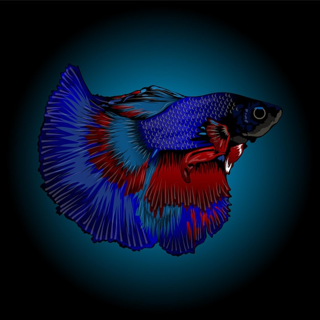 Ilustración de vector de pez betta