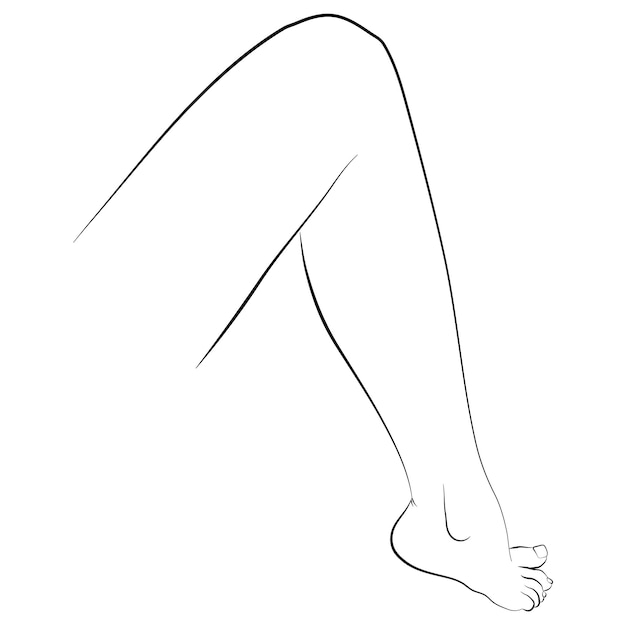 Vector ilustración de vector de pierna de mujer