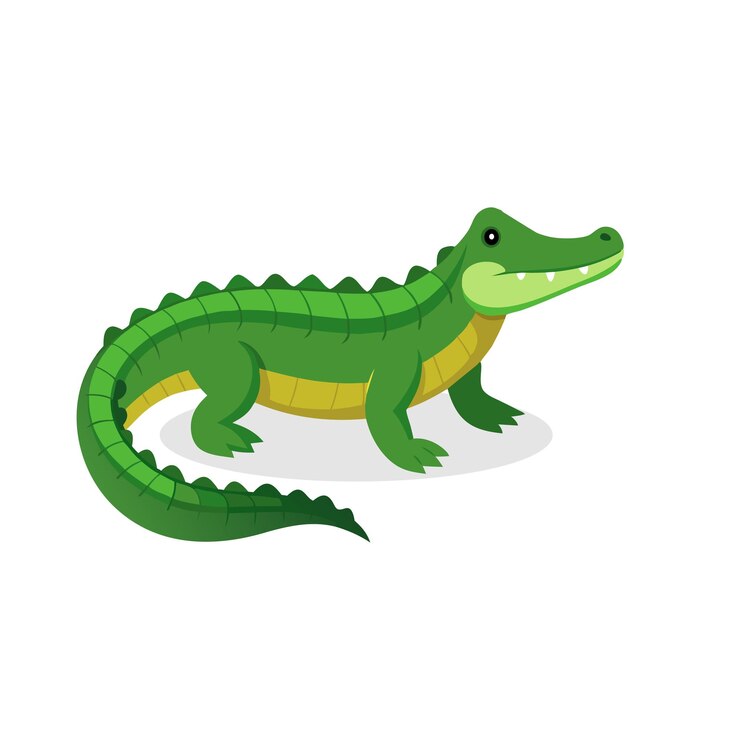 Vector ilustración de vector plano aislado de cocodrilo en fondo blanco