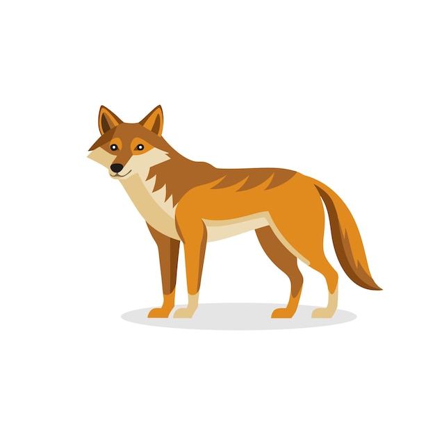 Ilustración de vector plano aislado de coyote en fondo blanco