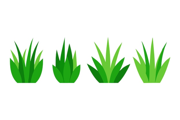 Ilustración de vector plano aislado de hierba verde en fondo blanco