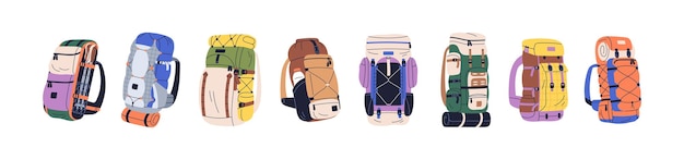 Ilustración de vector plano aislado sobre fondo blanco