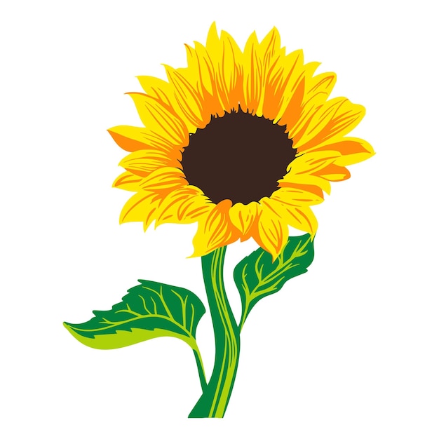 Ilustración de vector plano coloreado de girasol