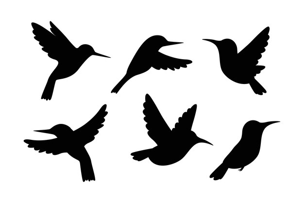 Ilustración de vector plano dibujado a mano de colibrí para siluetas de animales