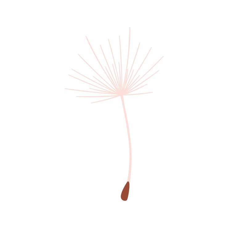 Vector ilustración de vector plano de elemento floral de semilla de diente de león aislado sobre fondo blanco.