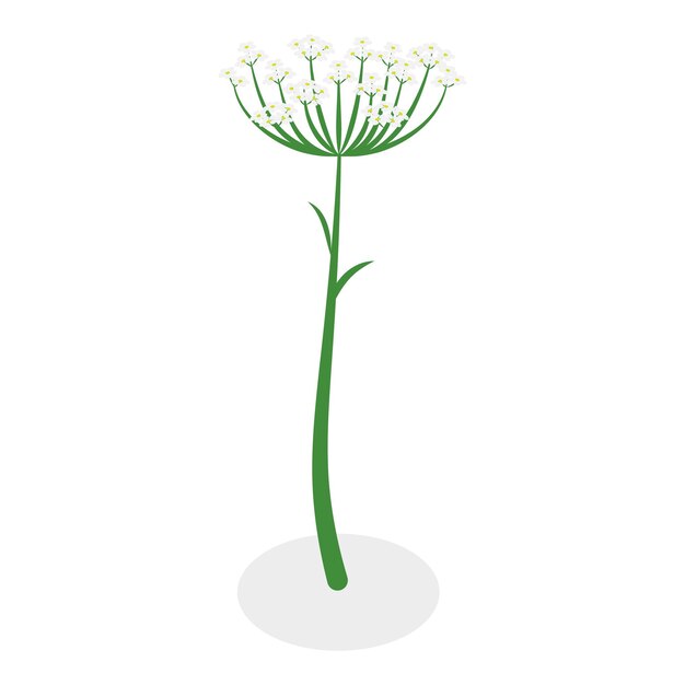 Ilustración de vector plano isométrico 3d de flores conjunto de colecciones de varias plantas en flor artículo 13