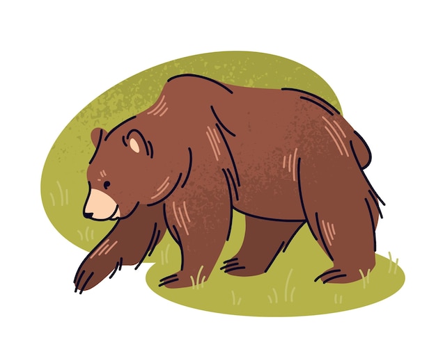 Ilustración de vector plano de oso pardo Gran habitante de taiga de animales salvajes aislado sobre fondo blanco