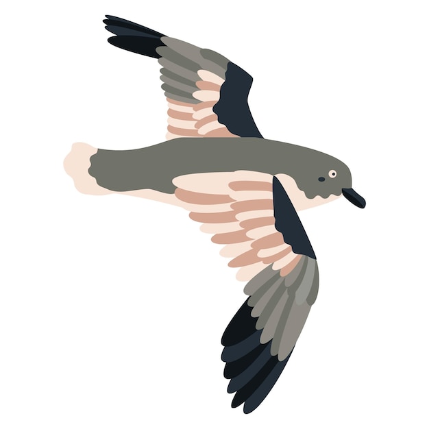 Ilustración de vector plano de pájaro petrel de dibujos animados lindo