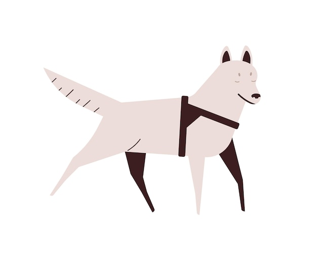 Ilustración de vector plano de perro ciego. Mascota corriendo activa. Cachorro con discapacidad, concepto de enfermedad. Elemento de diseño de animales domésticos. Caminar husky blanco de pura raza aislado sobre fondo blanco.