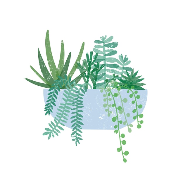 Ilustración de vector plano de planta de interior en maceta de moda. Crassula Hobbit, suculentas, collar de perlas, plantas de helecho en maceta. Flor verde exótica, elemento de decoración de interiores aislado en blanco.