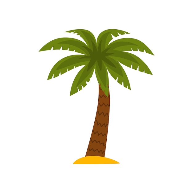 Ilustración de vector de planta tropical de palmera sobre un fondo blanco