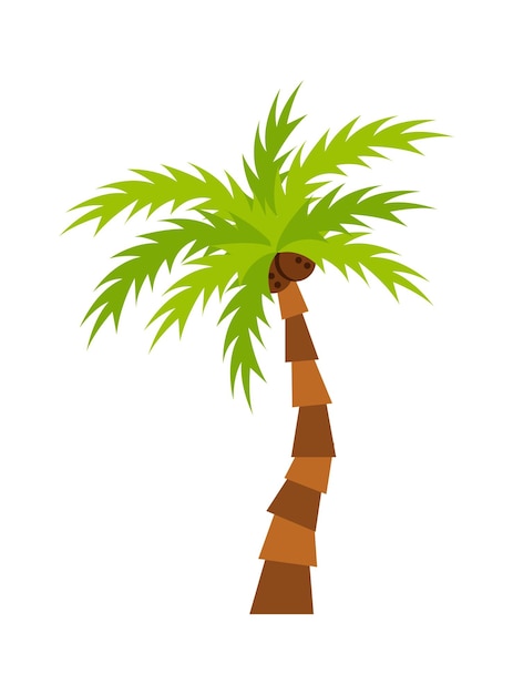 Ilustración de vector de planta tropical de palmera