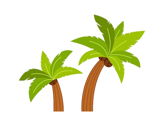 Ilustración de vector de planta tropical de palmera