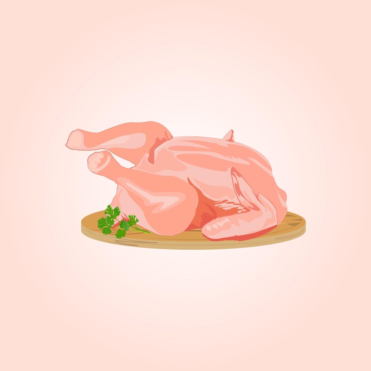 Vector ilustración de vector premium crudo de pollo