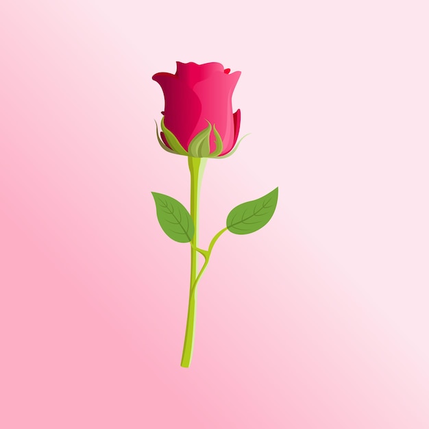 Vector ilustración de vector premium de flor rosa