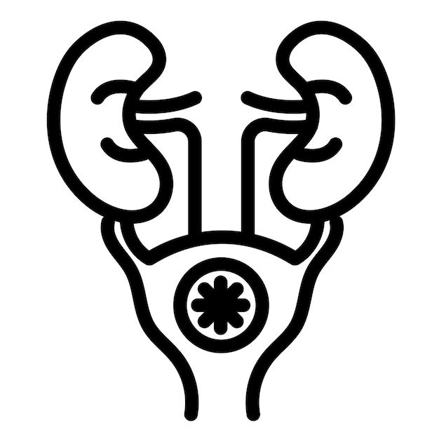 Ilustración del vector de la próstata