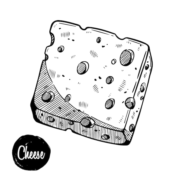 Vector ilustración de vector de queso dibujado a mano sobre fondo blanco