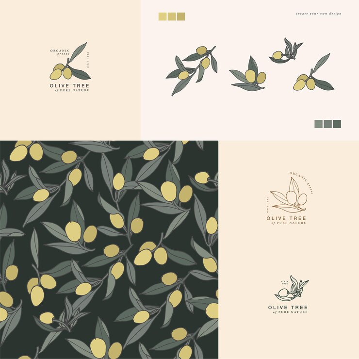 Ilustración de vector de rama de olivo composición de logotipo de estilo grabado vintage en estilo botánico retro s ...