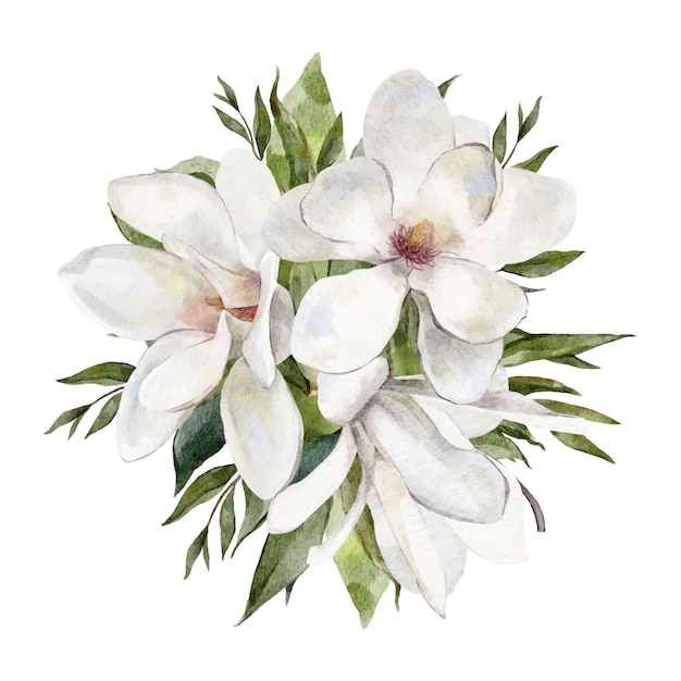 Ilustración de vector de ramo de flores de magnolia blanca acuarela