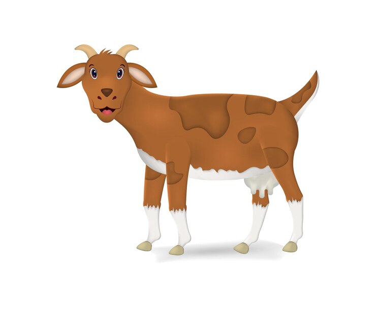 Vector ilustración de vector realista de cabra aislado sobre fondo blanco