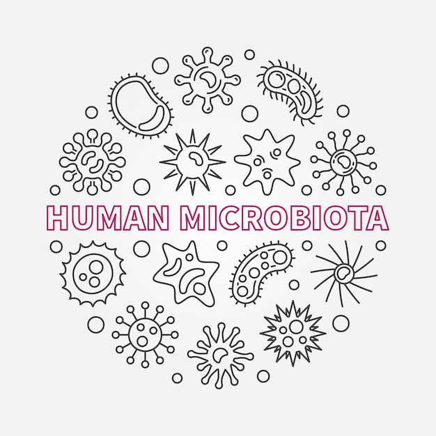 Ilustración de vector redondo de microbiota humana en estilo de contorno