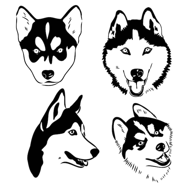 Ilustración de vector de retrato de perro husky