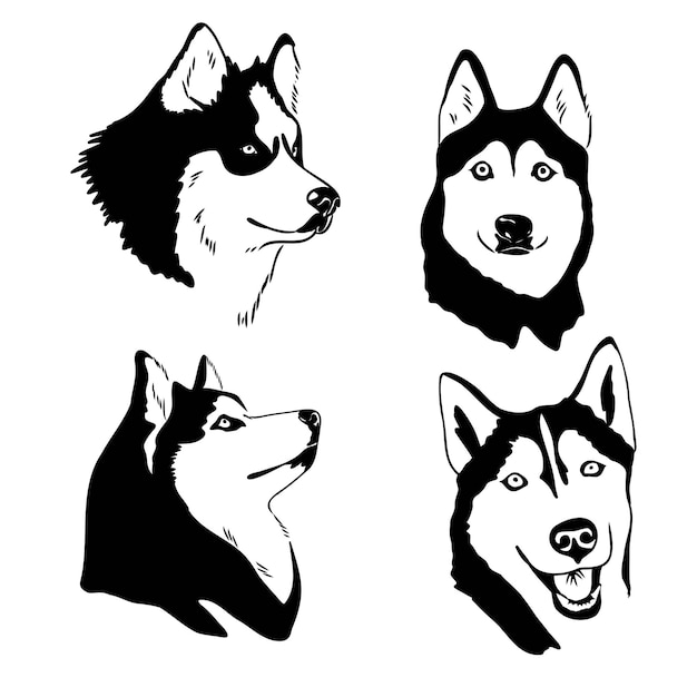 Ilustración de vector de retrato de perro husky