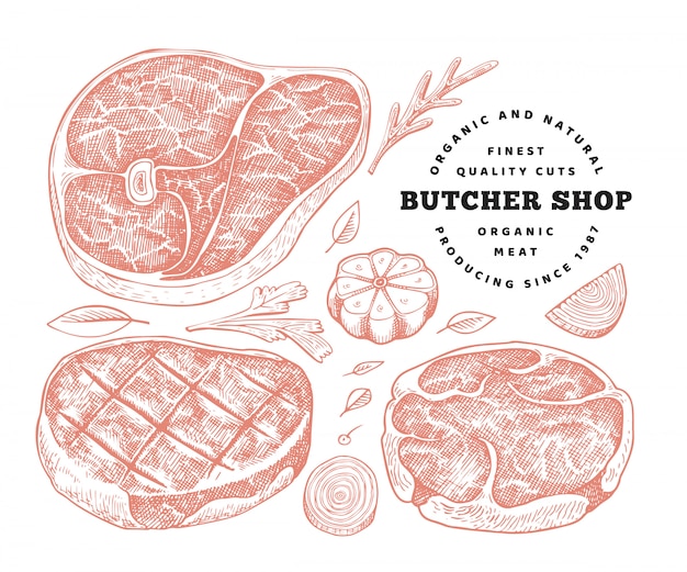 Ilustración de vector retro carne. dibujado a mano filete conjunto, especias y hierbas. ingredientes alimentarios crudos. bosquejo vintage