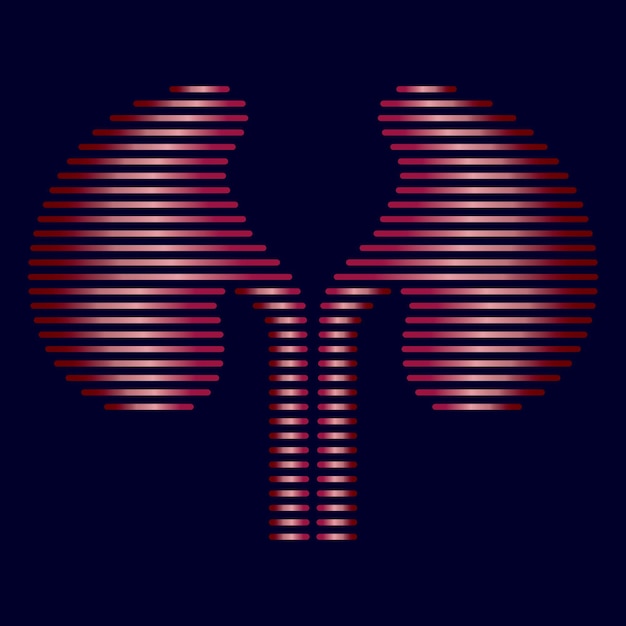 Ilustración del vector del riñón