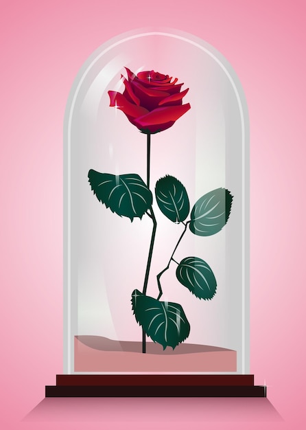 Ilustración de vector de rosa inmortalizada