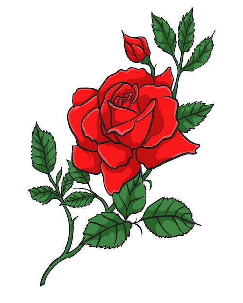 Ilustración de vector de rosa roja realista hermosa