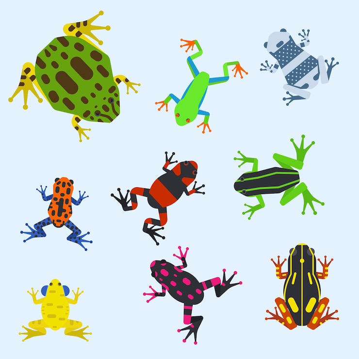 Vector ilustración de vector salvaje de personaje de mascota de anfibios de dibujos animados de animales tropicales de dibujos animados de rana