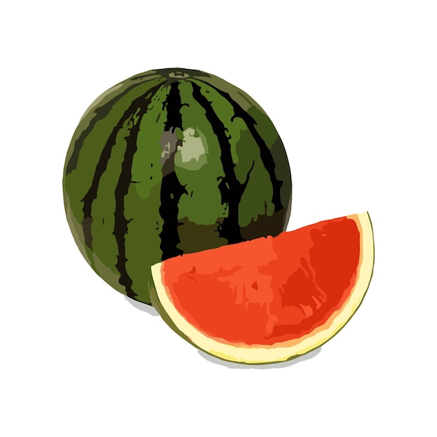 Ilustración de vector de sandía
