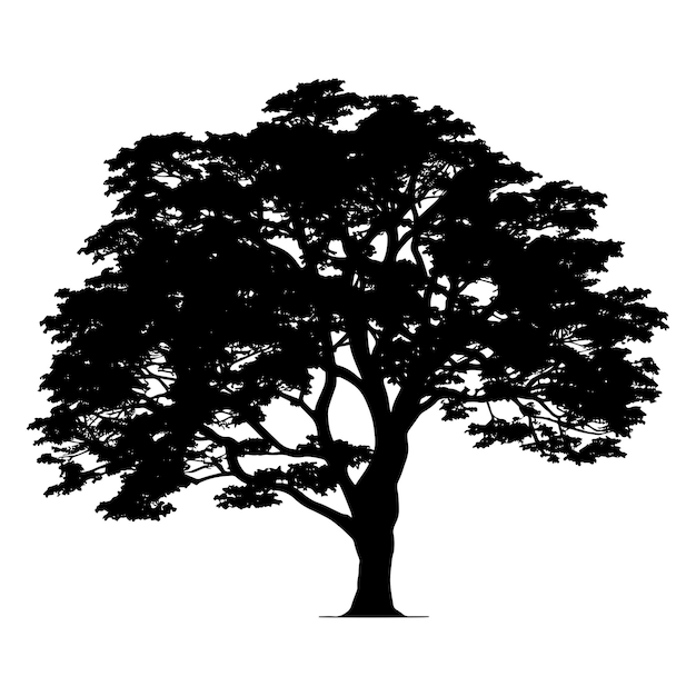 Ilustración de Vector de silueta de árbol de roble