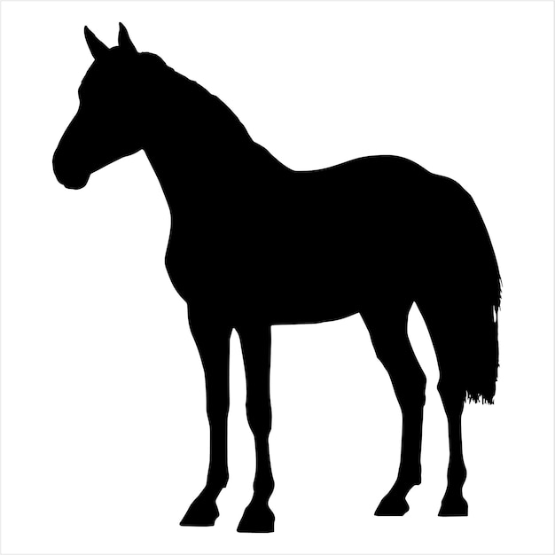 Ilustración de vector de silueta de caballos