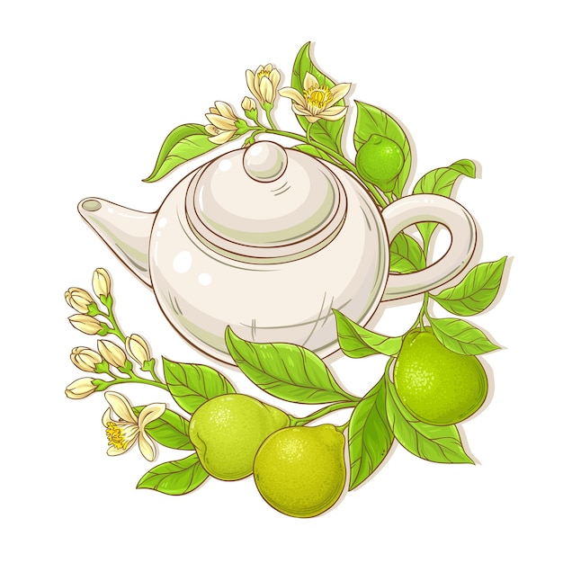 Ilustración de vector de té de bergamota sobre fondo blanco.