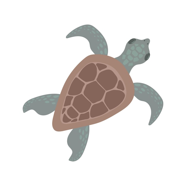 Ilustración de vector de tortuga marina de dibujos animados en estilo plano