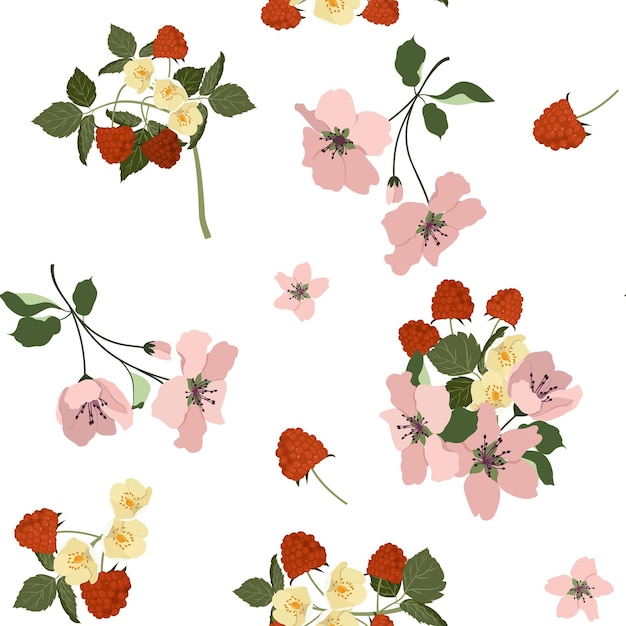 Ilustración de vector transparente con flores de cerezo y frambuesas sobre un fondo blanco