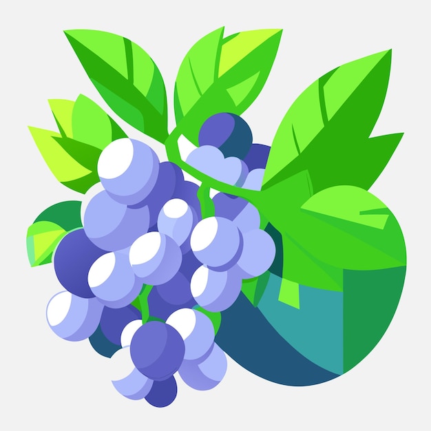 Ilustración de vector de uvas